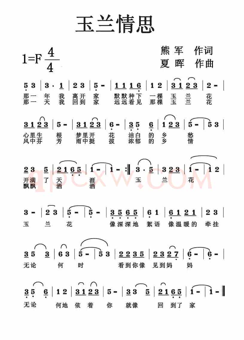 玉兰情思