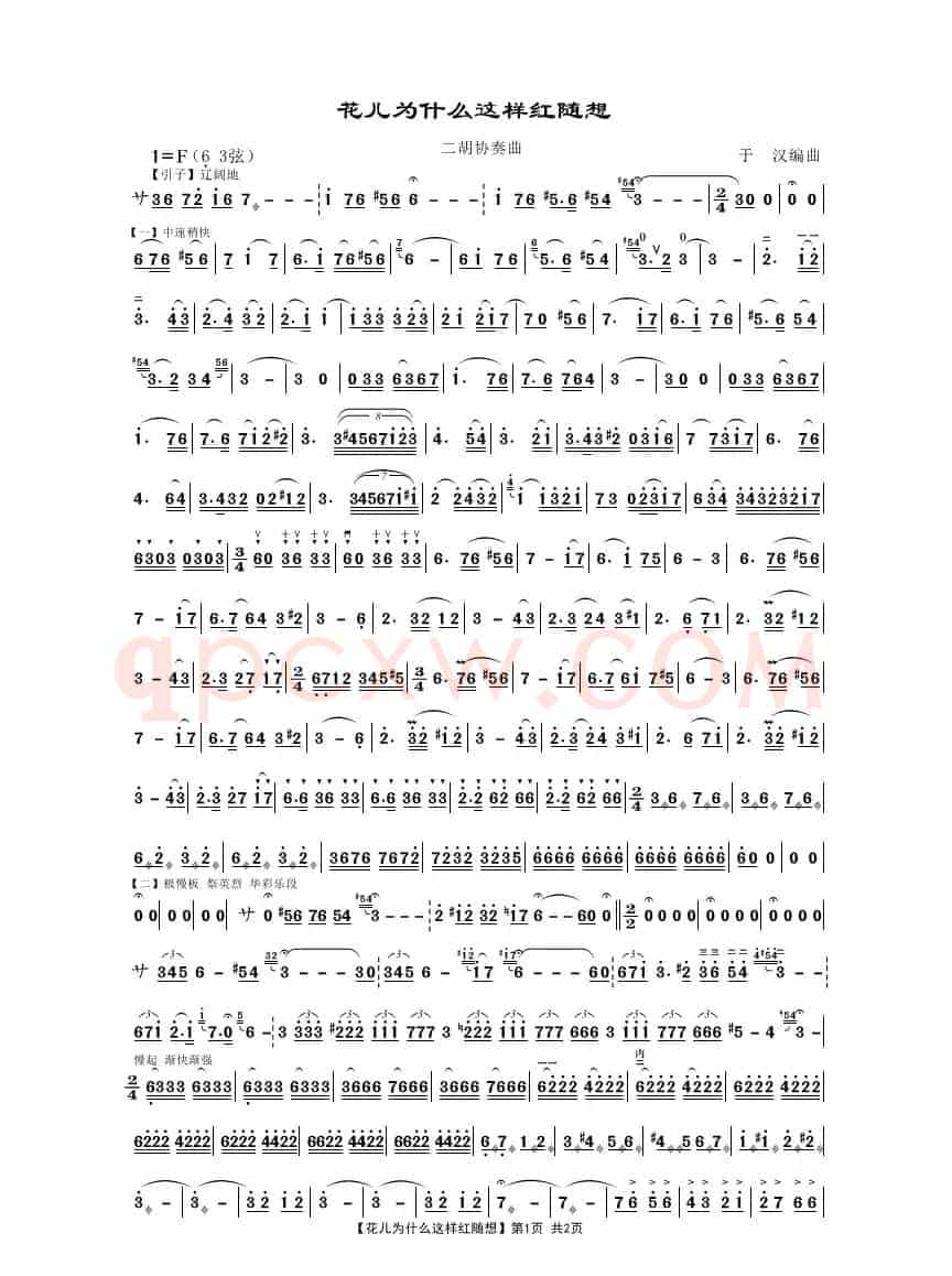 花儿为什么这样红随想（二胡独奏曲）