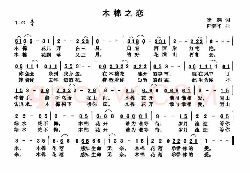 木棉之恋