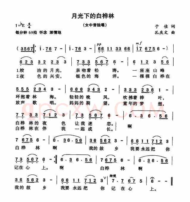 月光下的白桦林