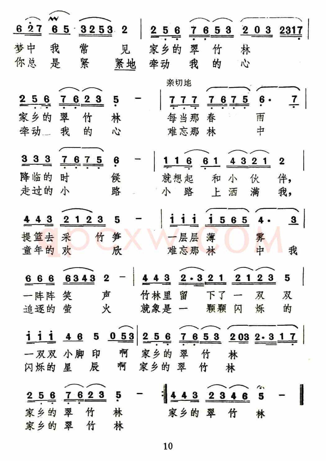 家乡的翠竹林