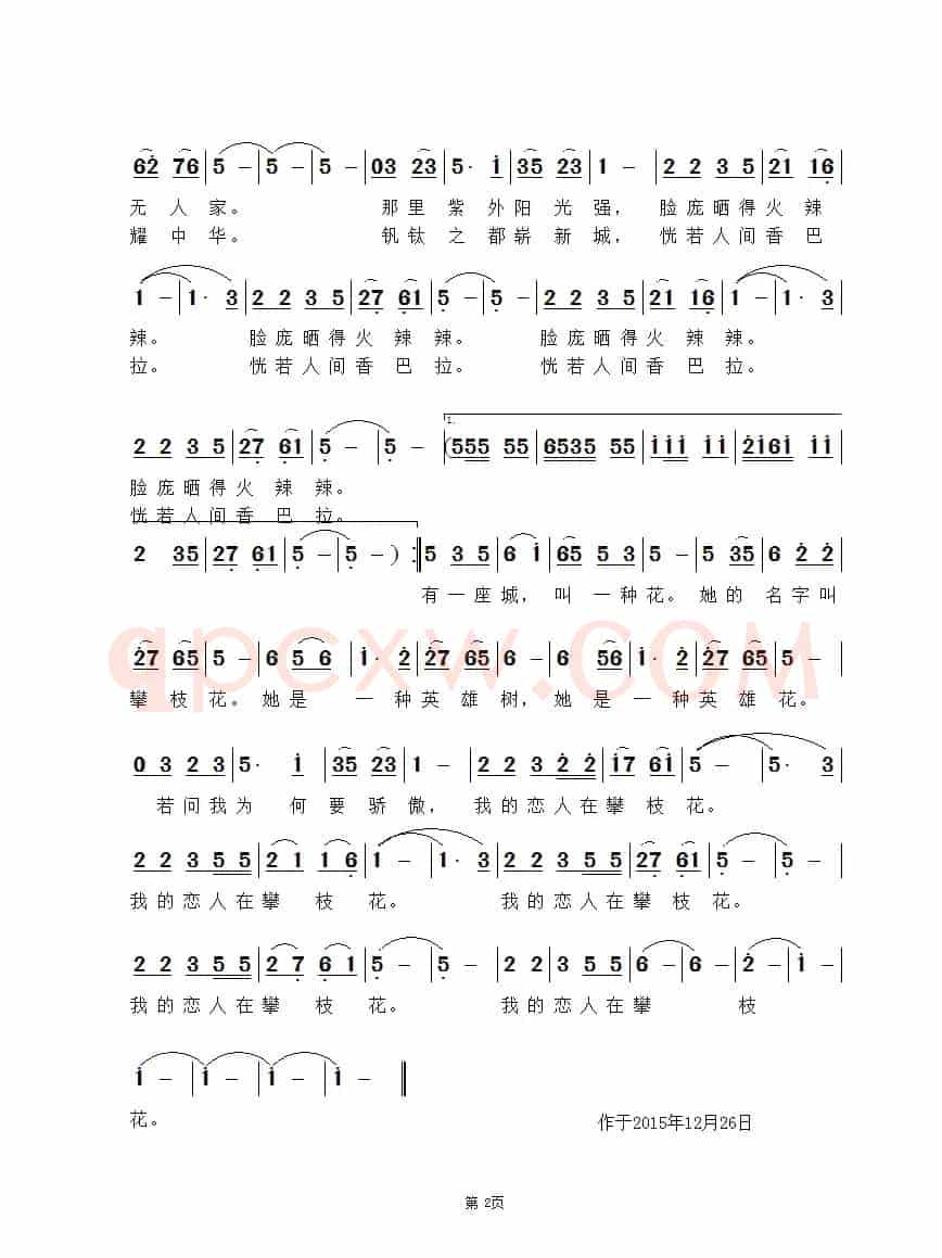 我的恋人在攀枝花