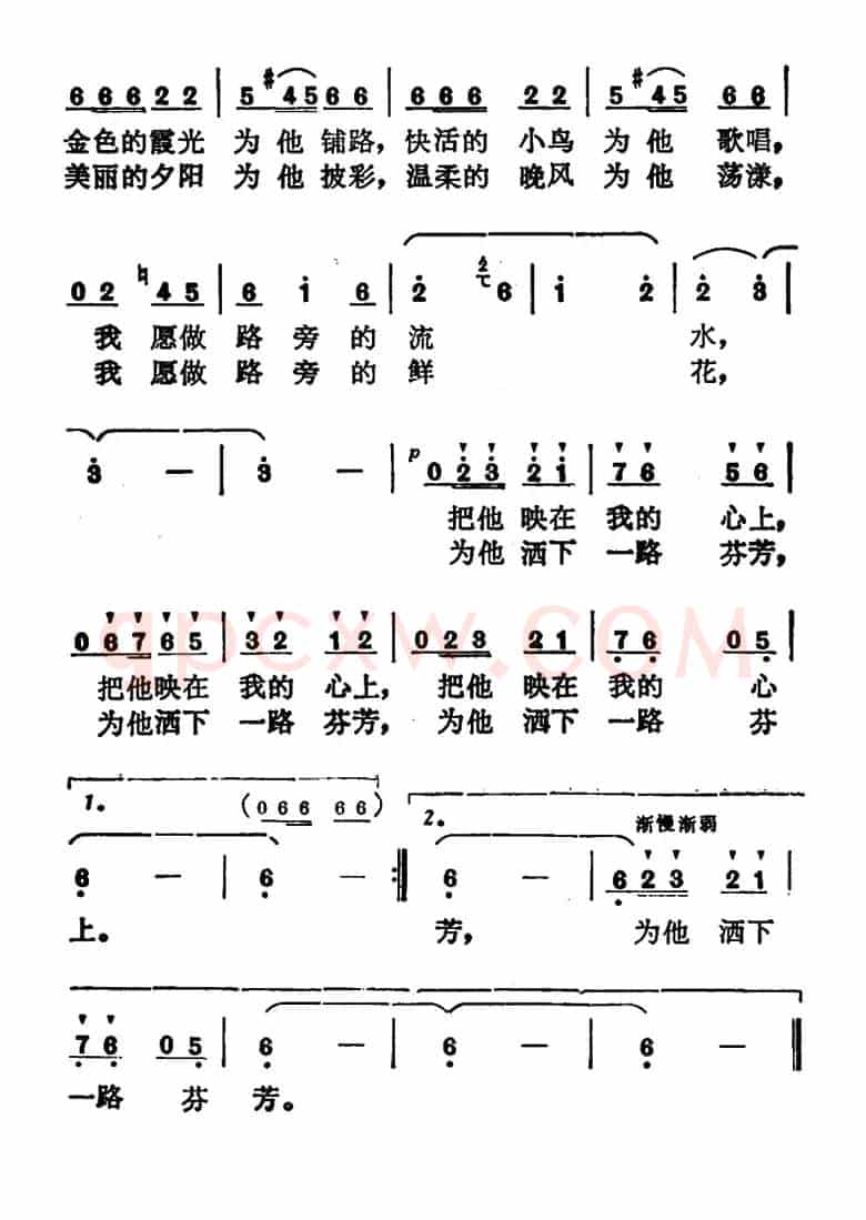 矿山的小路