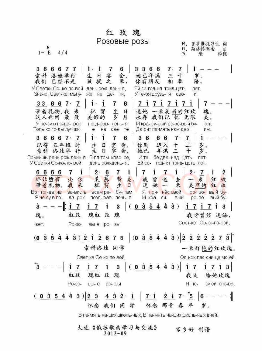 红玫瑰Розовые розы（中俄简谱）