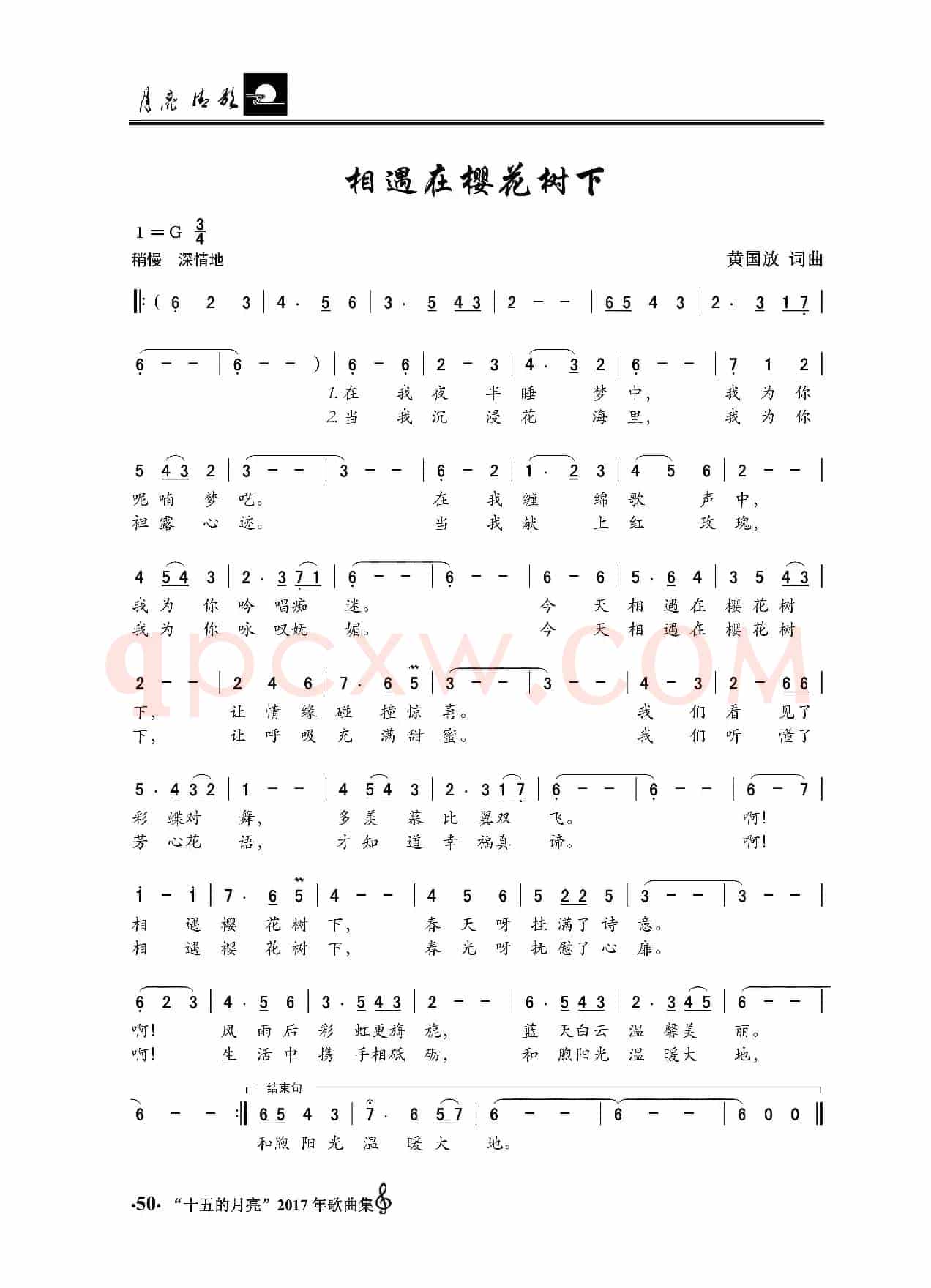 相遇在樱花树下