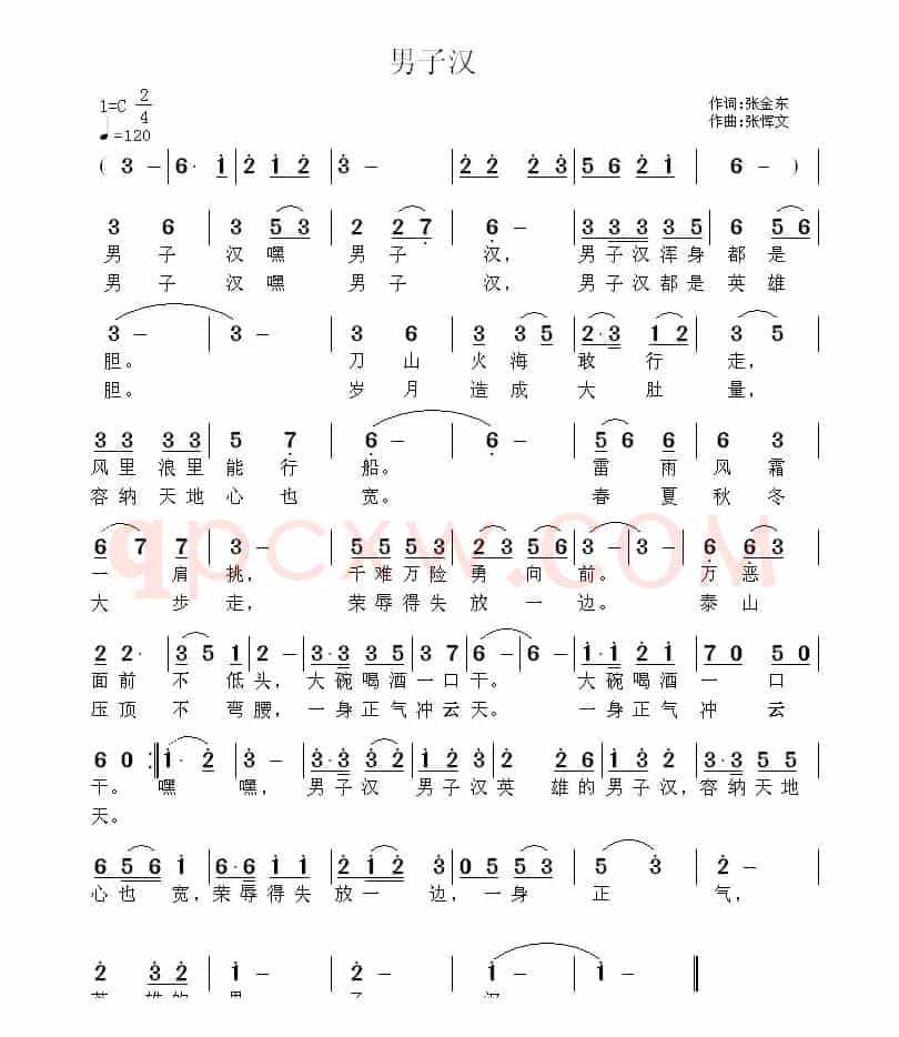 男子汉（张金东词 张恽文曲）