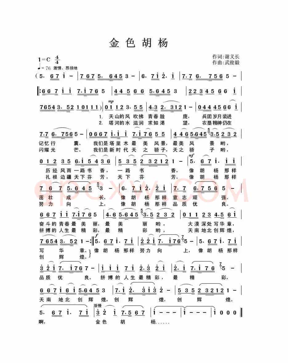 金色胡杨