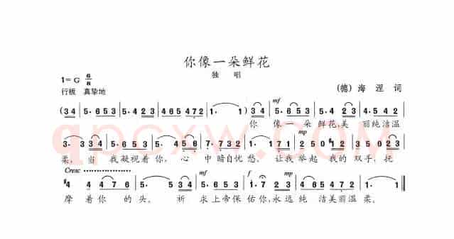 你像一朵鲜花