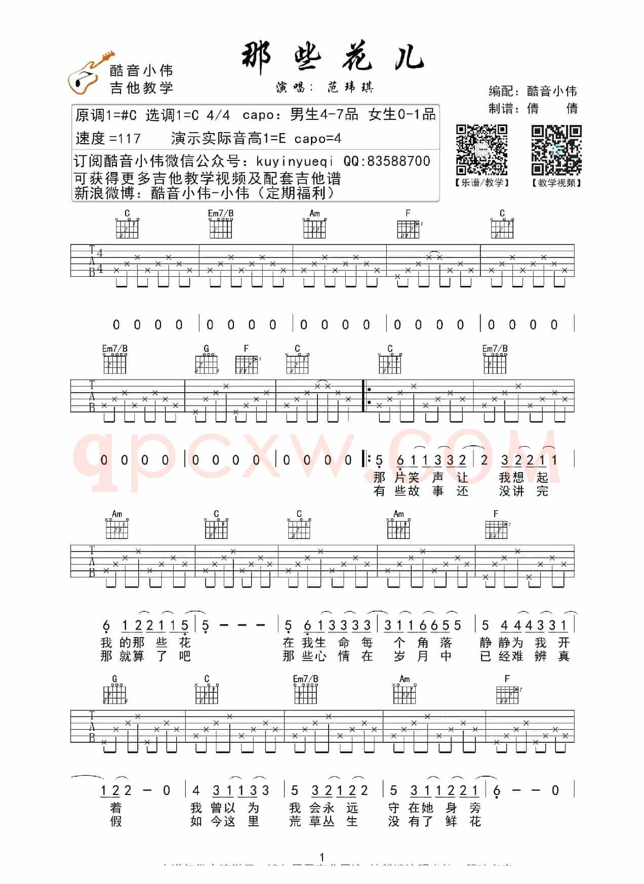 那些花儿（范玮琪版、酷音小伟编谱）