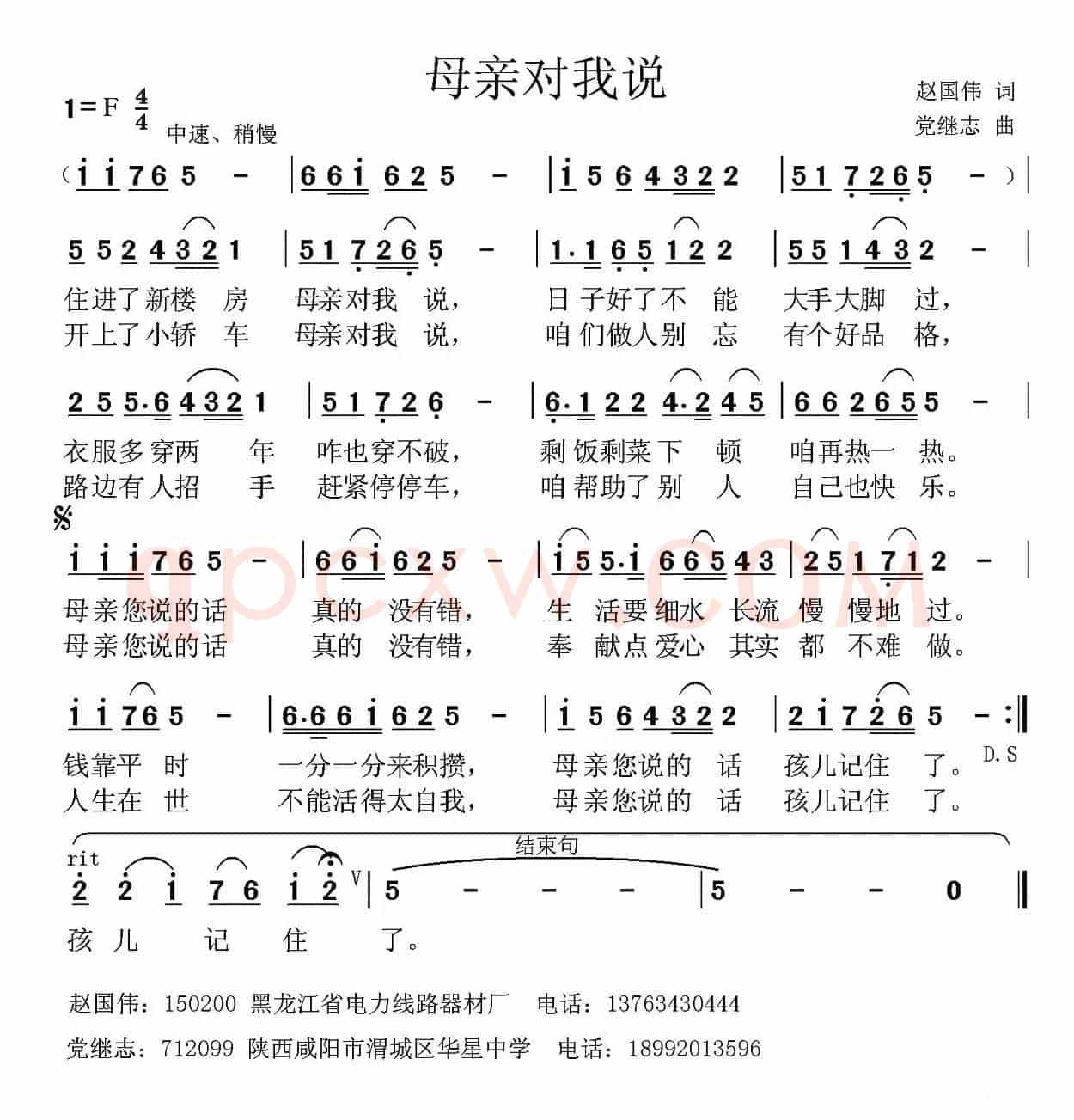 母亲对我说