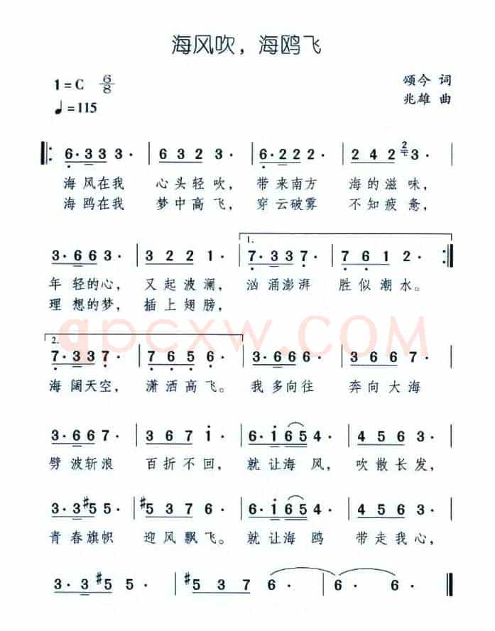 海风吹，海鸥飞