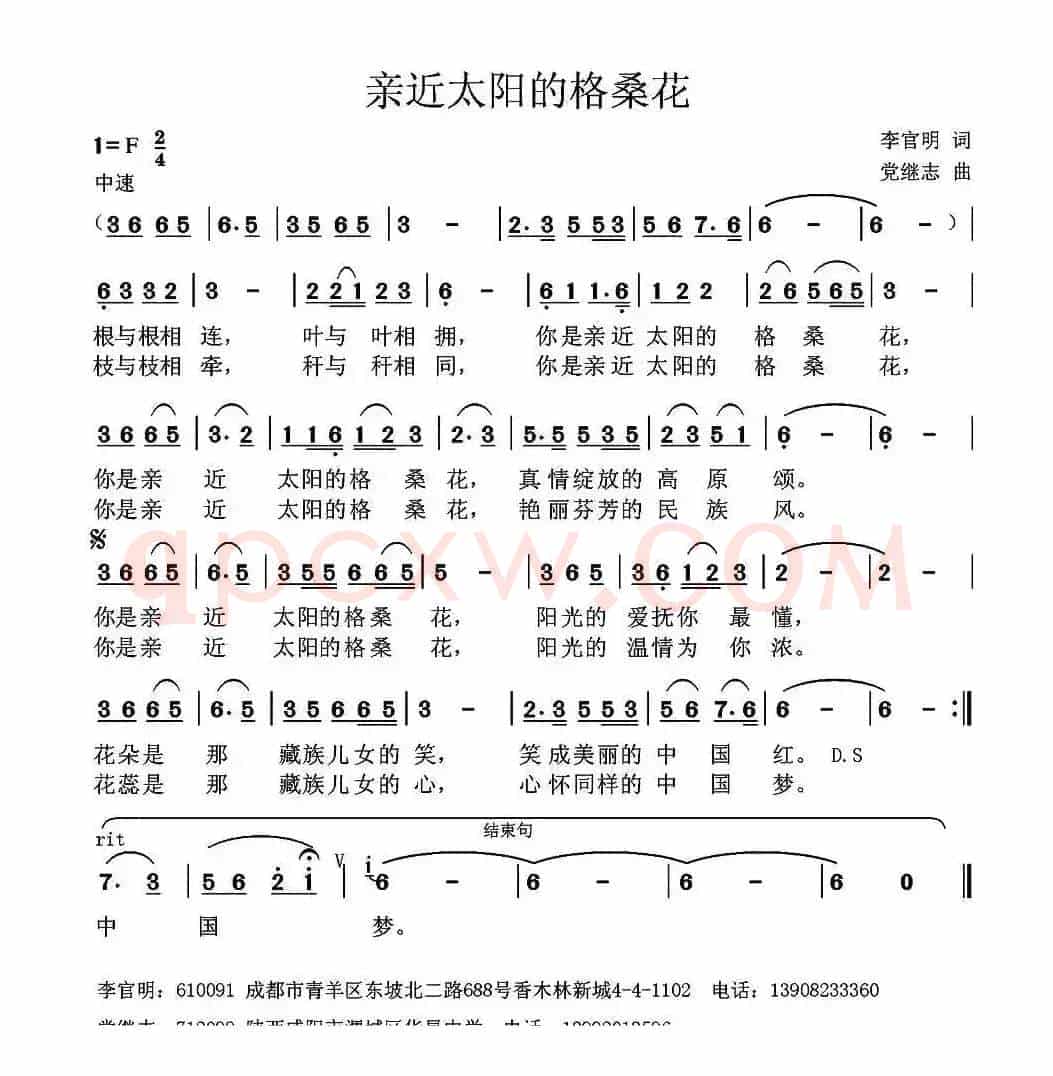 亲近太阳的格桑花 