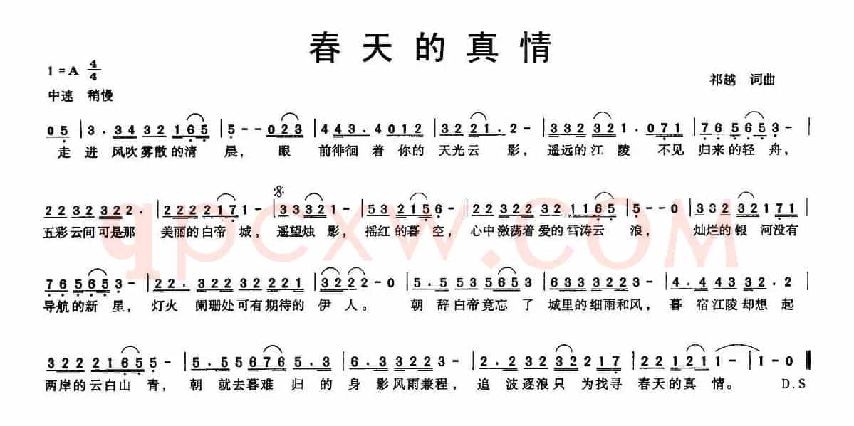 春天的真情