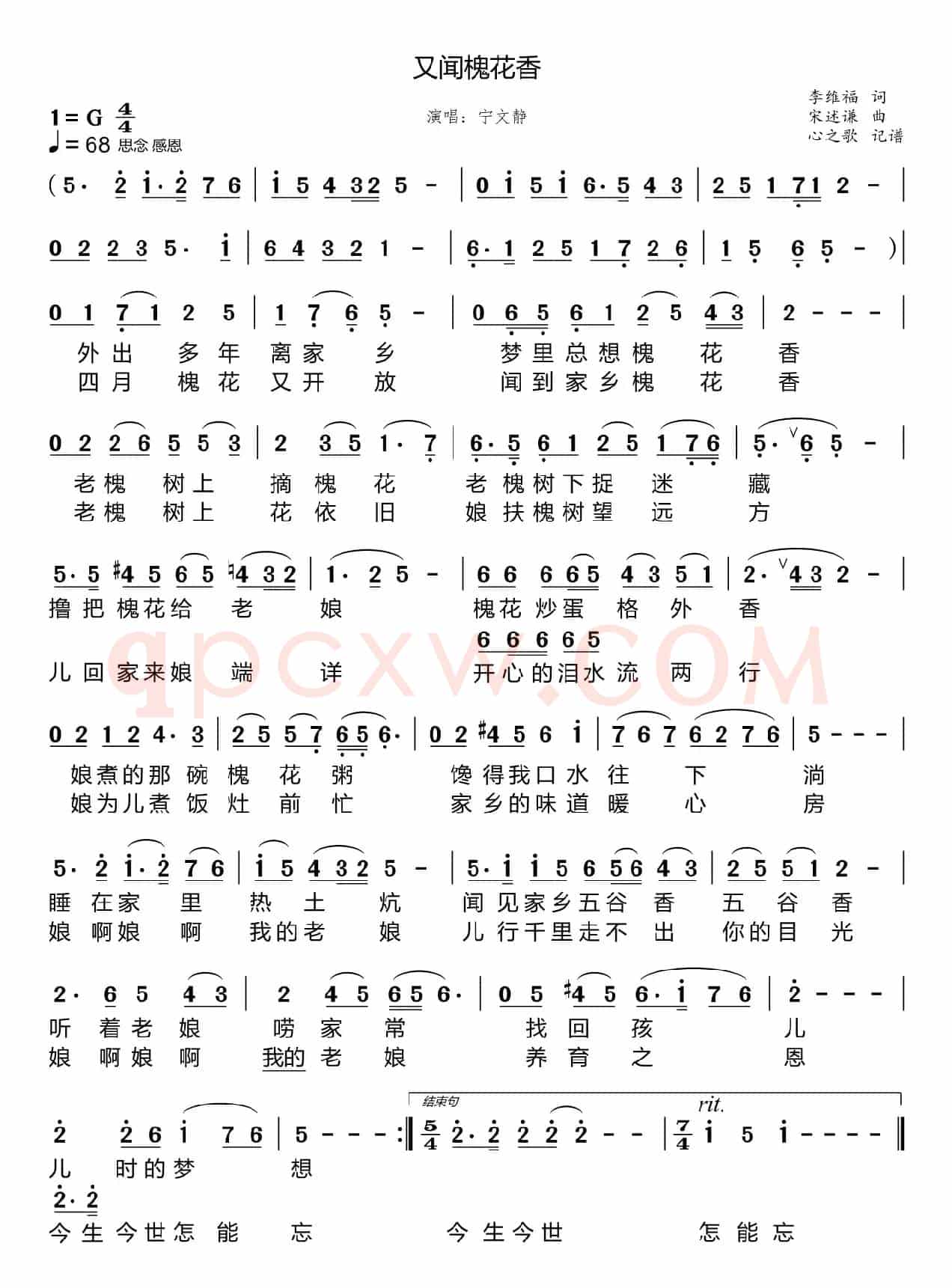 又闻槐花香（宁文静）