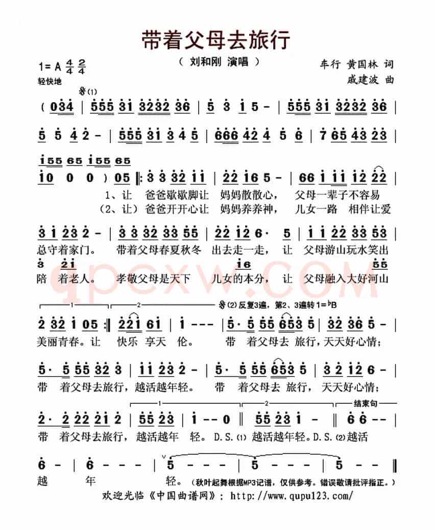 带着父母去旅行