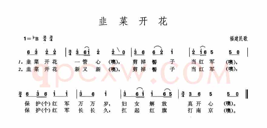 韭菜开花