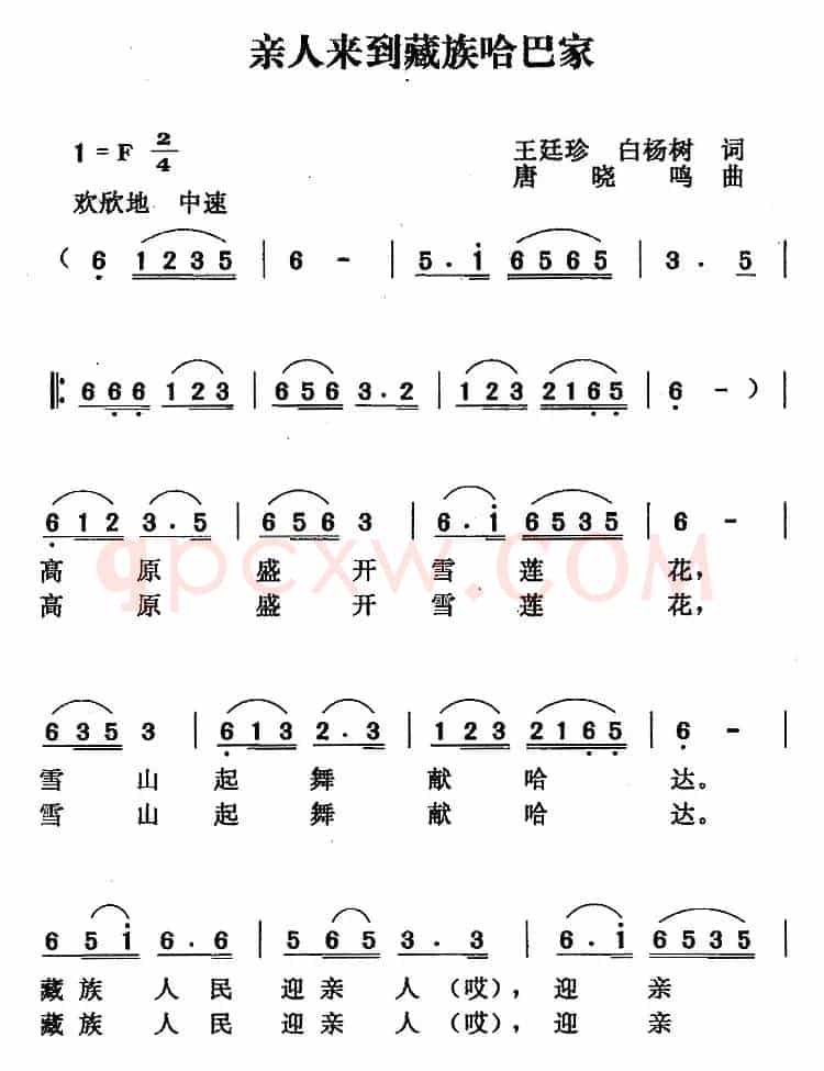 亲人来到藏族哈巴家