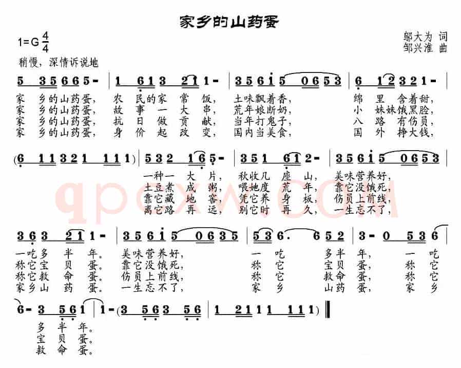 家乡的山药蛋