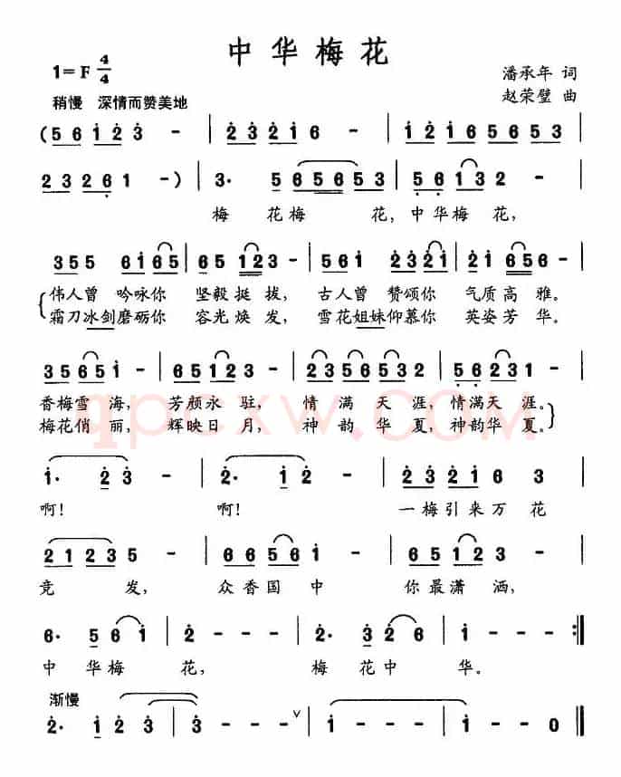 中华梅花