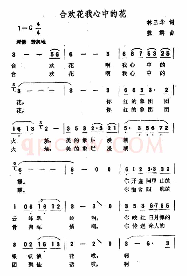 合欢花我心中的花