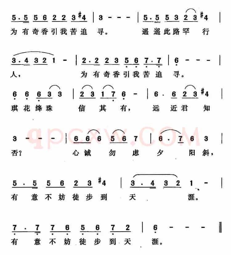 虞美人·追寻 