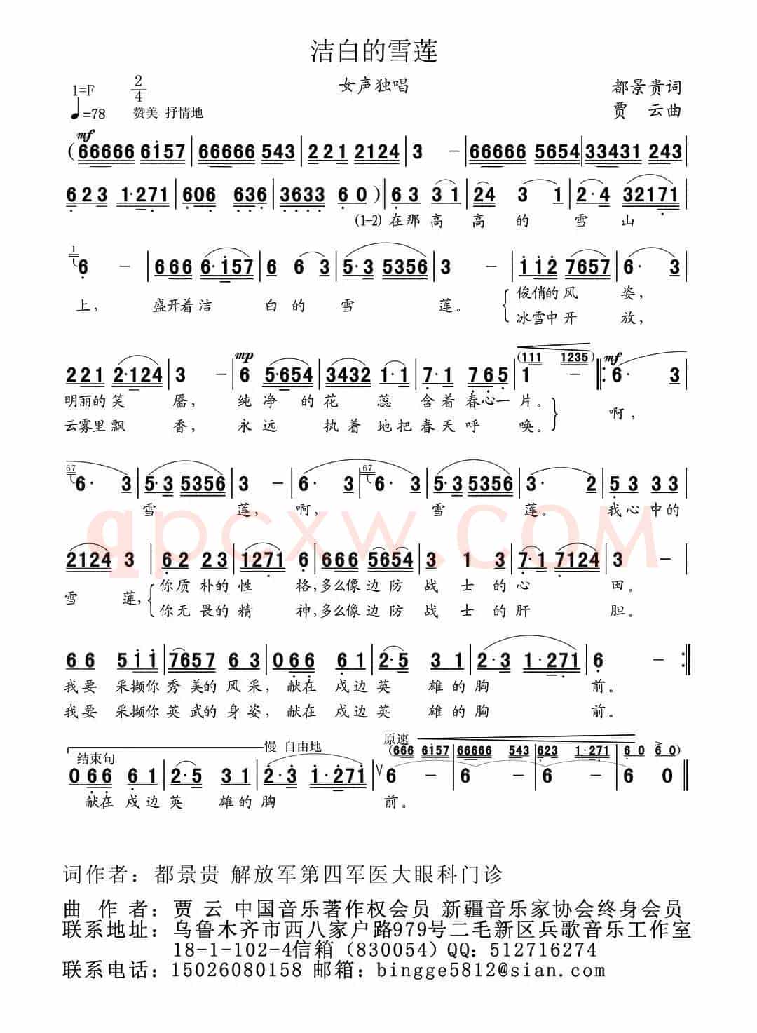 洁白的雪莲
