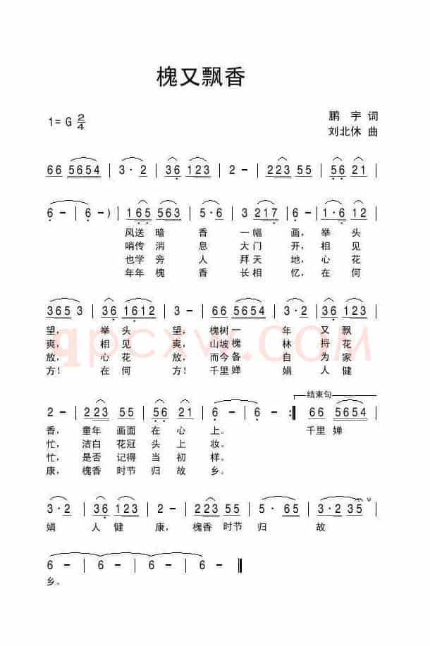 槐又飘香