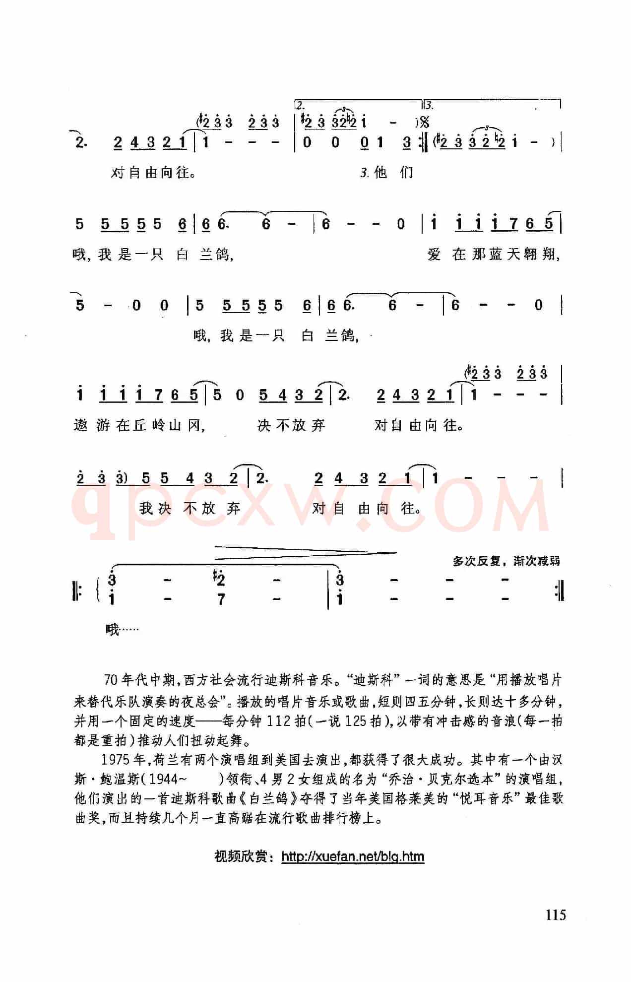 白兰鸽