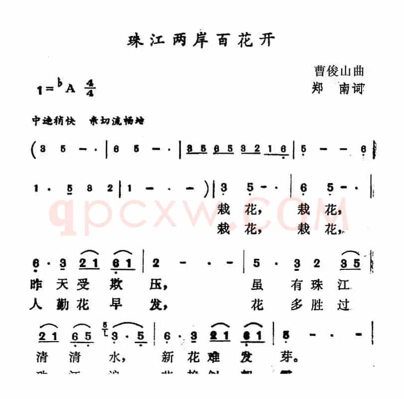 珠江两岸百花开