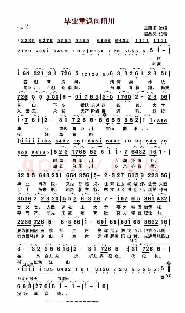 毕业重返向阳川