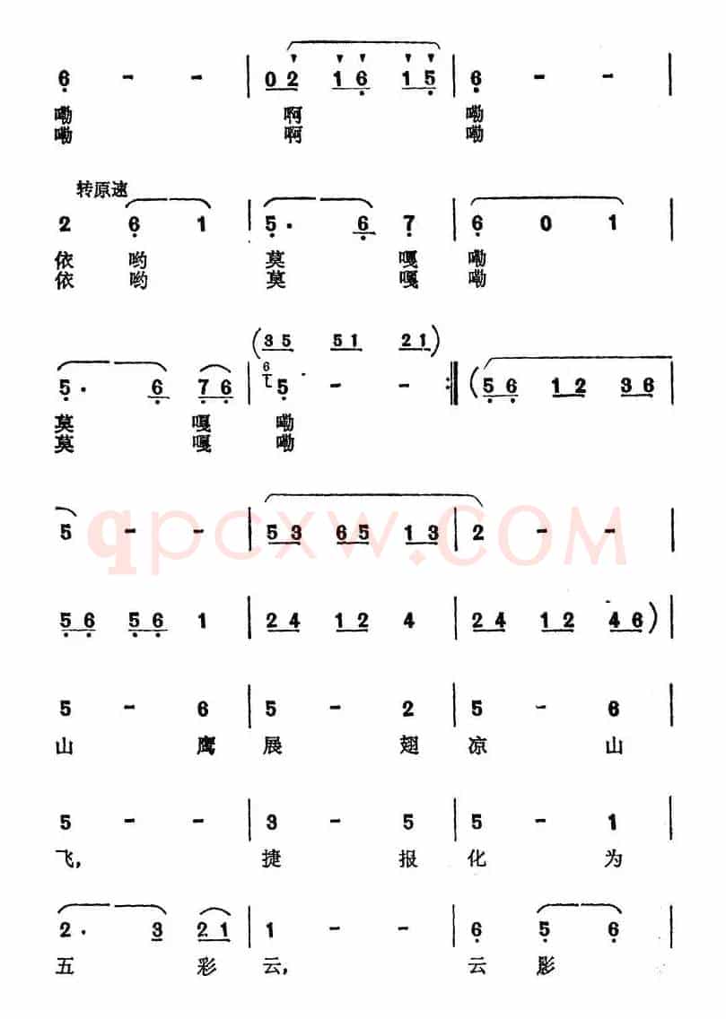 泉水一样的眼睛