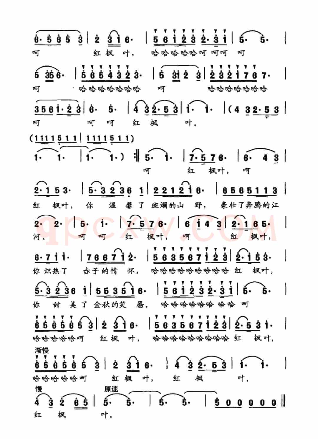 红枫叶（史国光词 刘锡古曲）