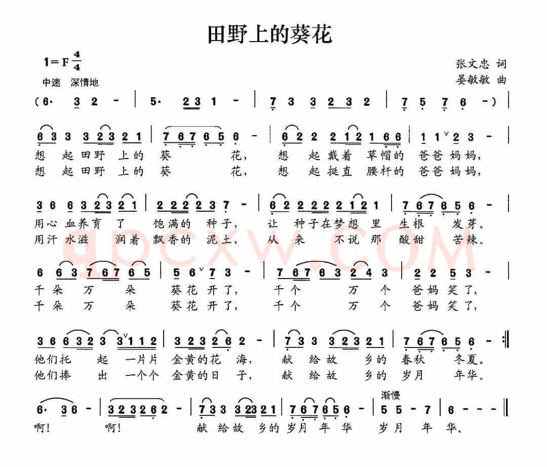 田野上的葵花