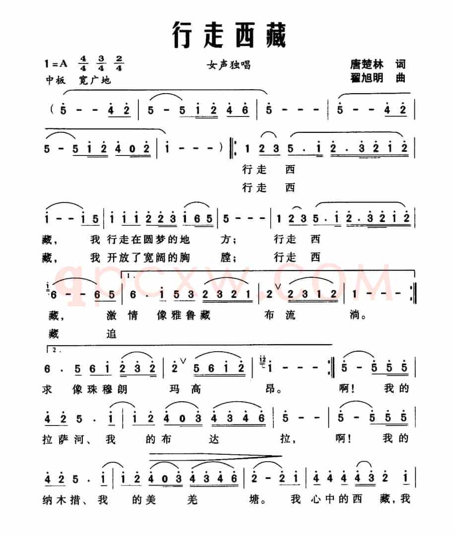 行走西藏