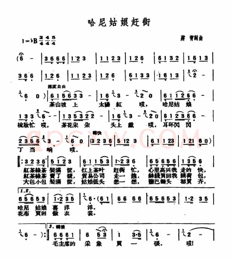 哈尼姑娘赶街