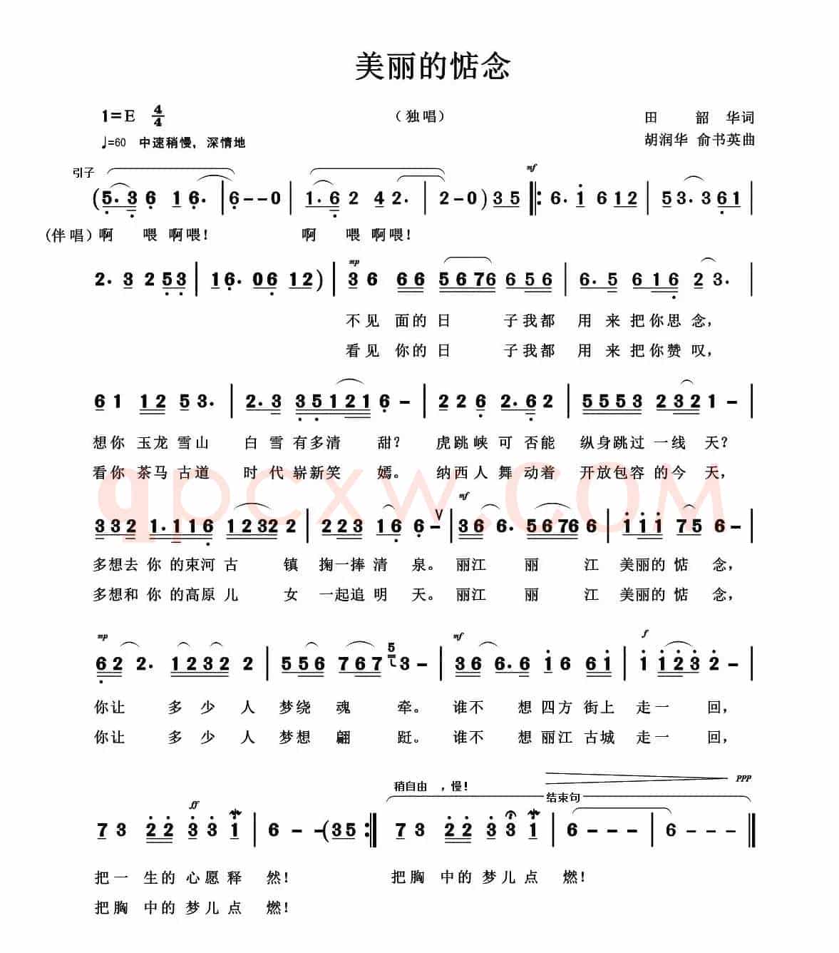 美丽的惦念