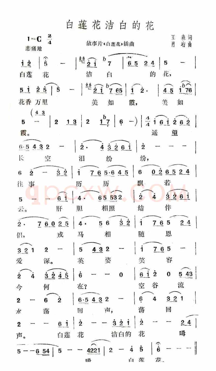 白莲花洁白的花（电影《白莲花》插曲）