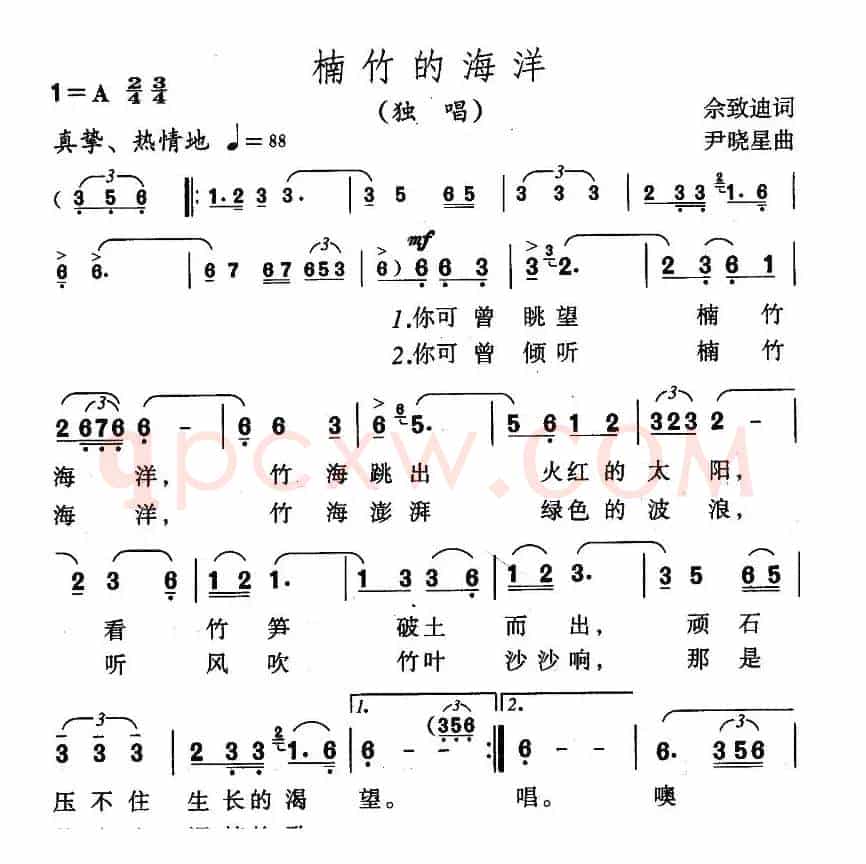 楠竹的海洋
