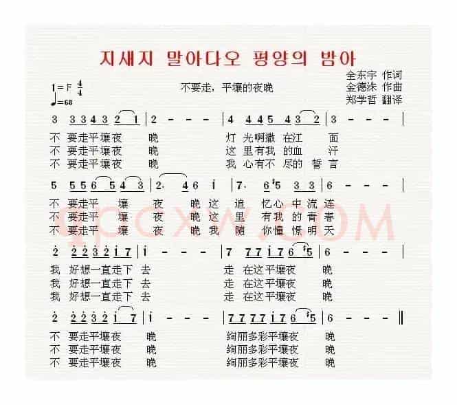 [朝鲜]不要走，平壤的夜晚（中文版）