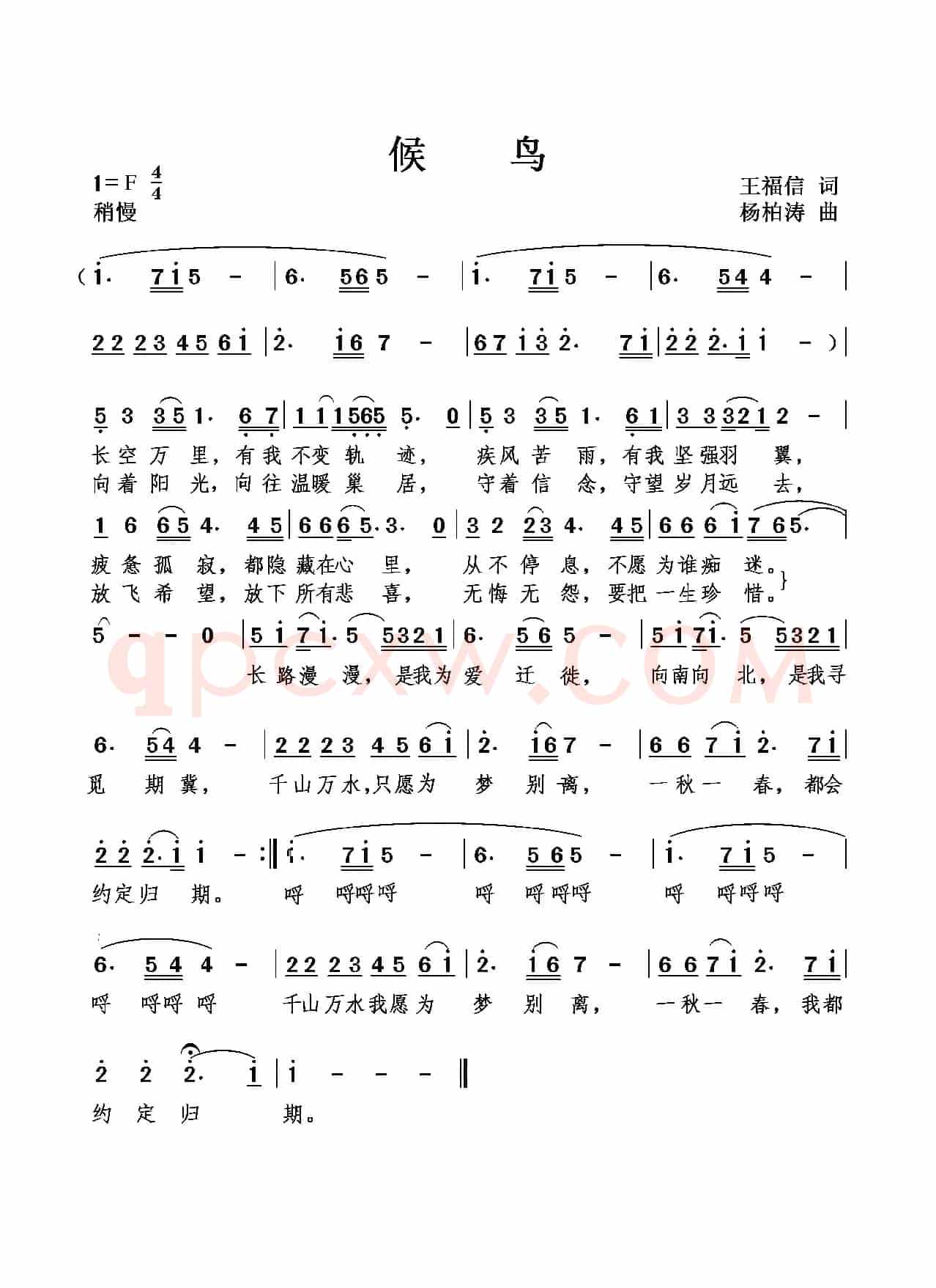 候鸟(王福信词 杨柏涛曲)