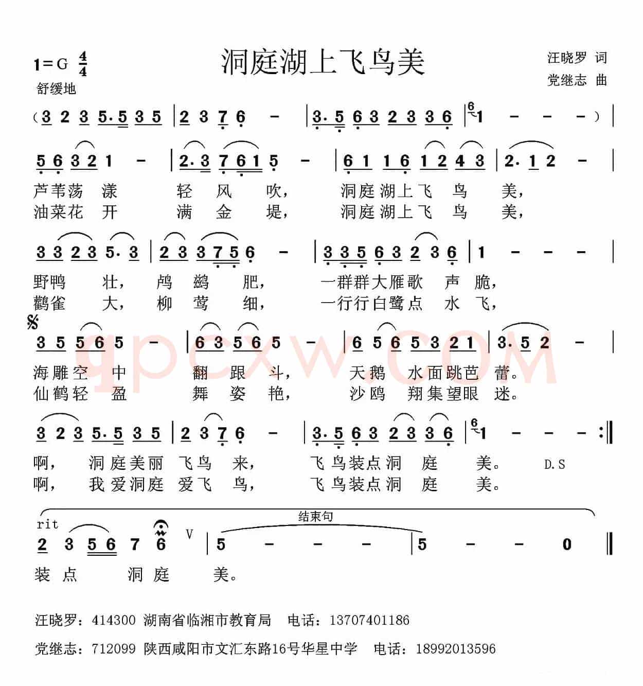 洞庭湖上飞鸟美 