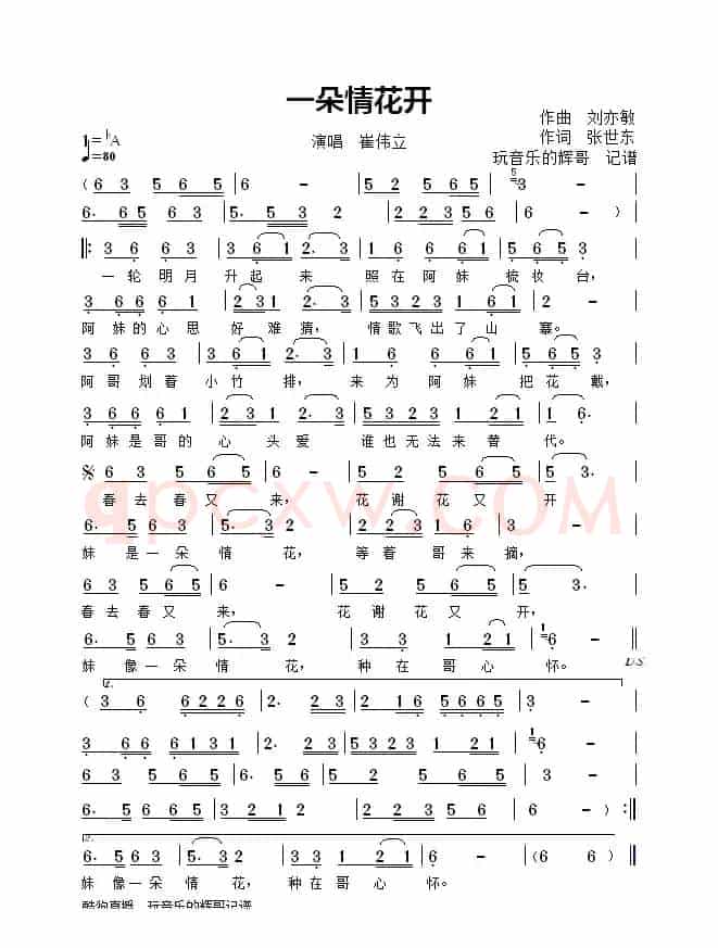 一朵情花开（崔伟立）