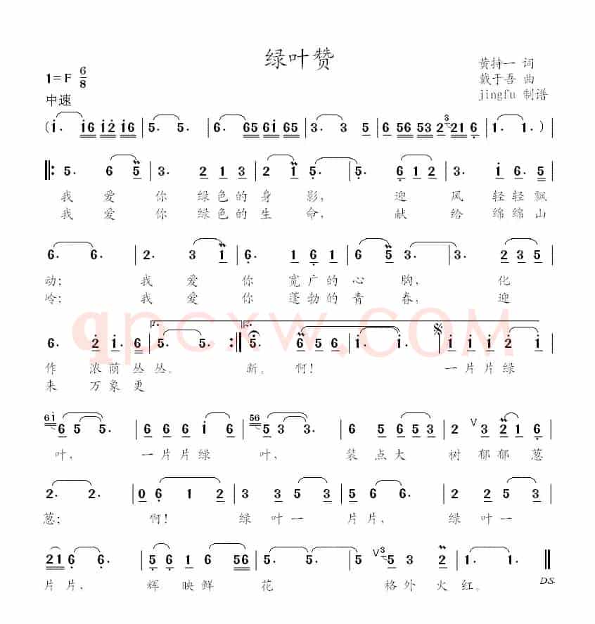 绿叶赞