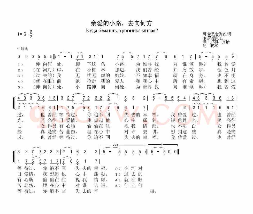 亲爱的小路去向何方