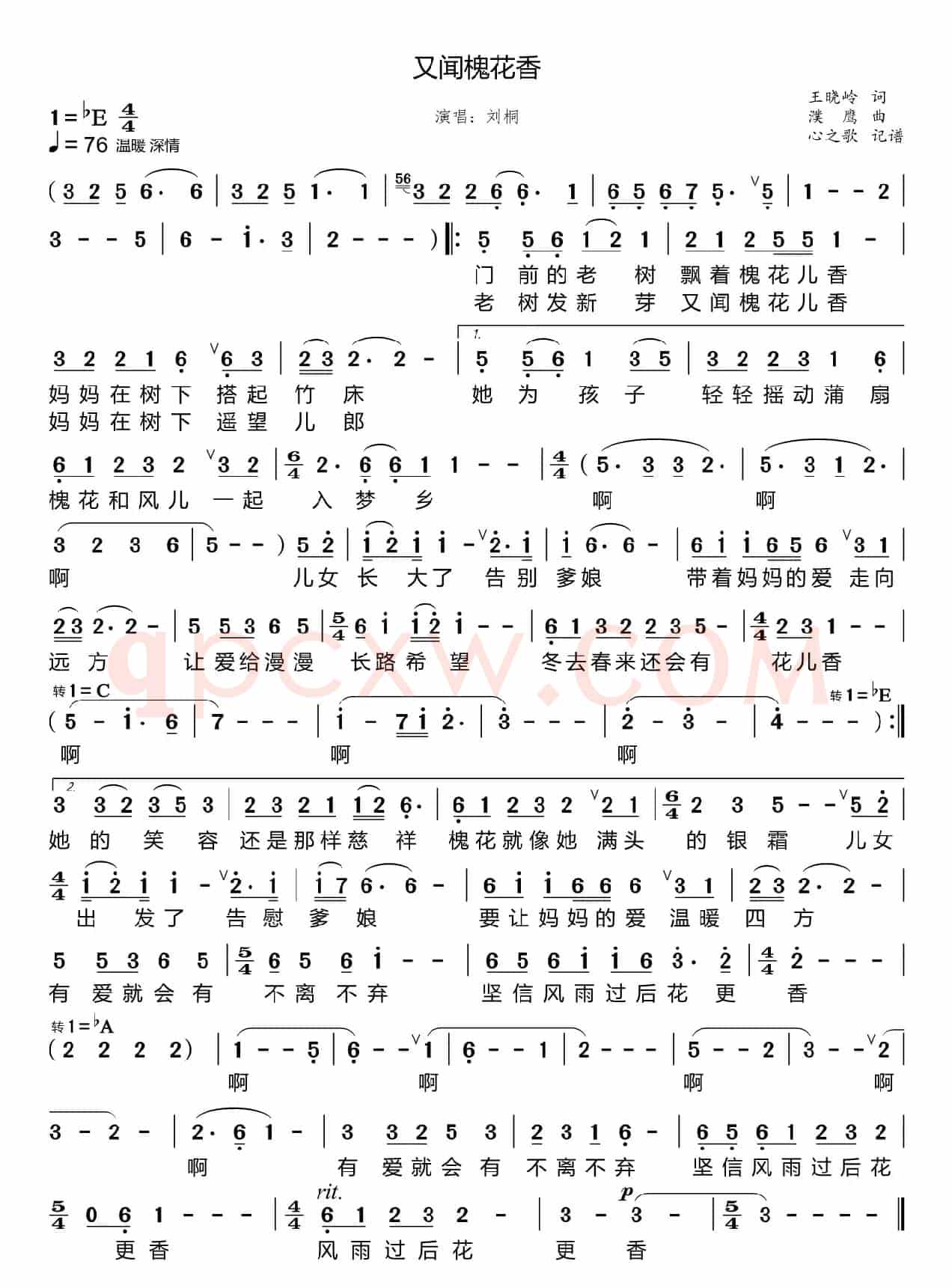 又闻槐花香（刘桐）