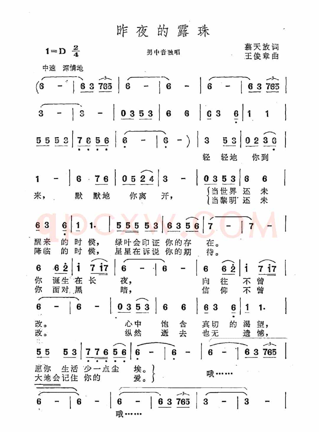昨夜的露珠