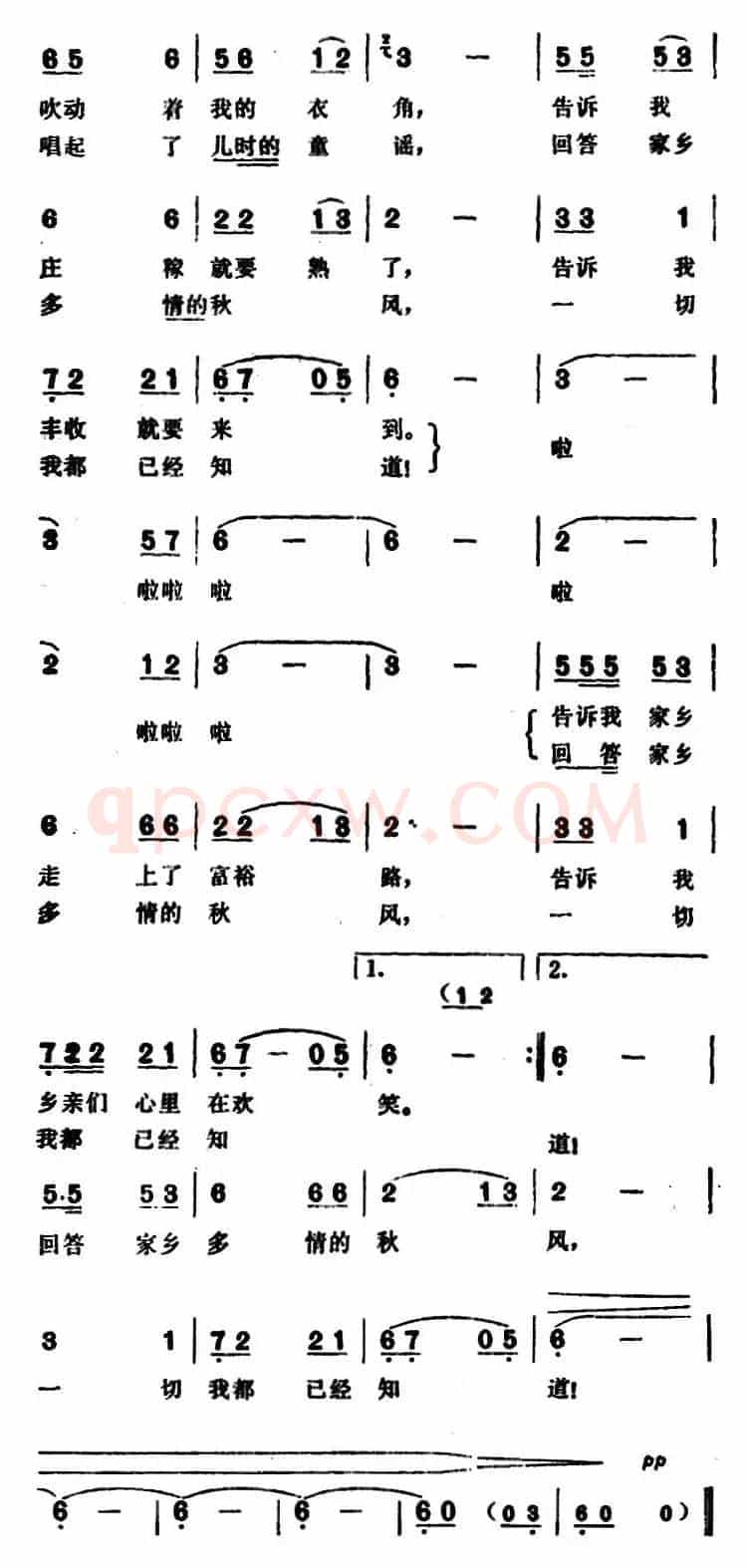 走在家乡的小道