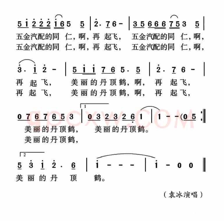 美丽的丹顶鹤（叶必文词 姜金富曲）