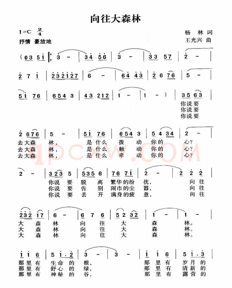 向往大森林