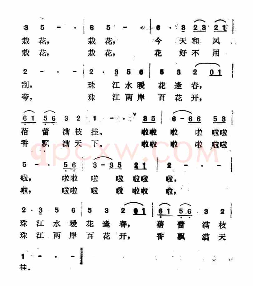 珠江两岸百花开